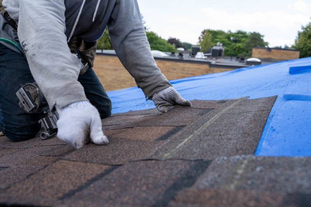 Best Gutter Installation and Roofing  in Hopwood, PA